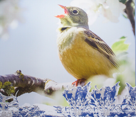 Landwirtschaft Naturschutz in Mainfranken