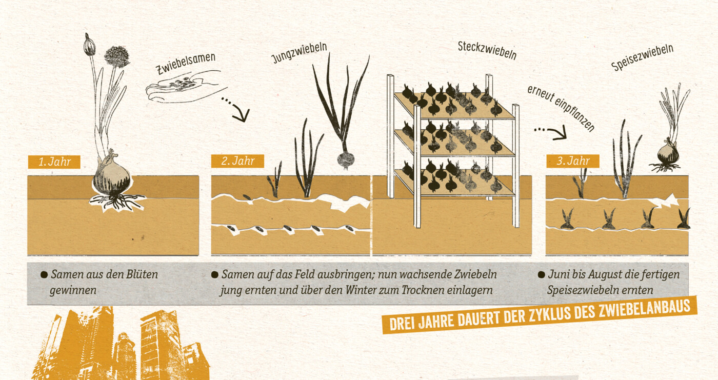 Museumsheft Bornaer Zeitreisen