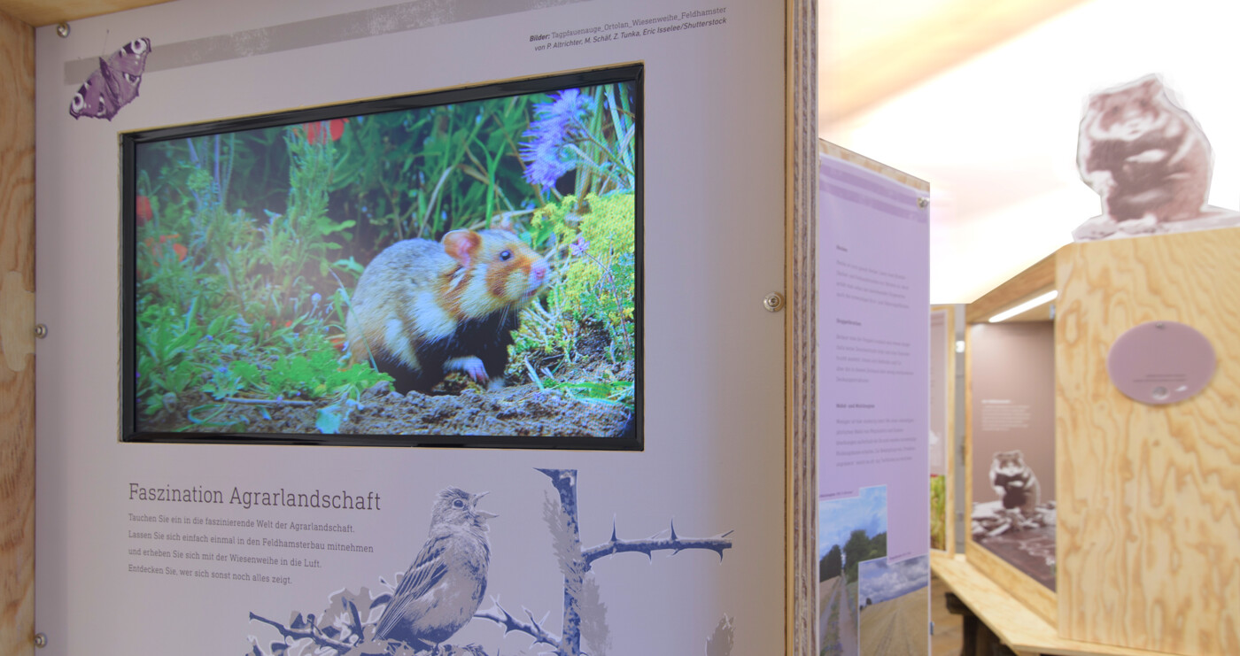 Landwirtschaft Naturschutz in Mainfranken Landwirtschaft Naturschutz in Mainfranken
