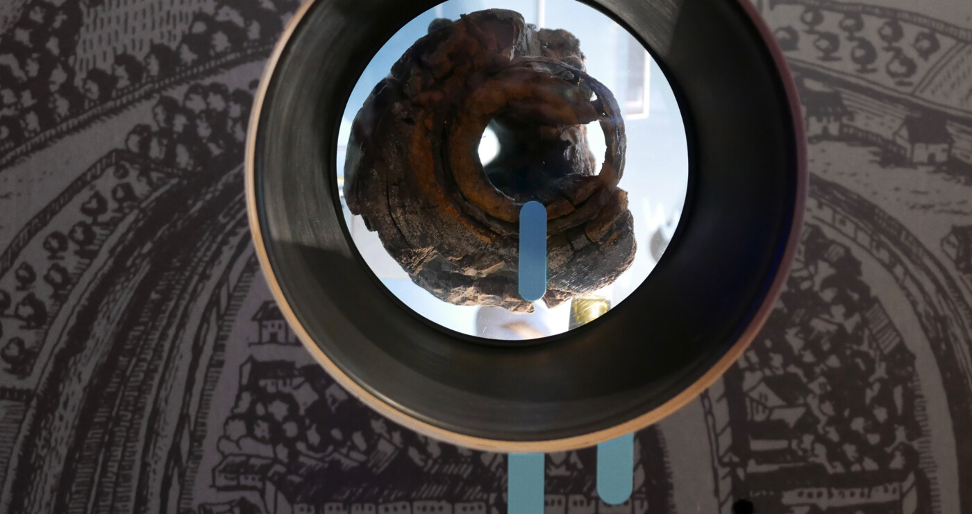 Nymphenvitrine Stadtmuseum Eilenburg Nymphenvitrine Stadtmuseum Eilenburg