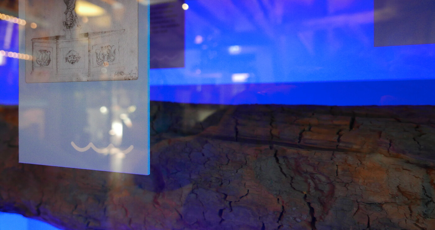 Nymphenvitrine Stadtmuseum Eilenburg Nymphenvitrine Stadtmuseum Eilenburg