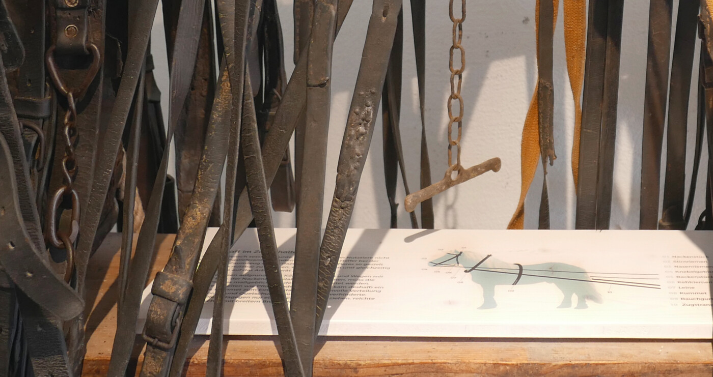 Wyhra Ausstellung Hofgeschichten Wyhra Ausstellung Hofgeschichten