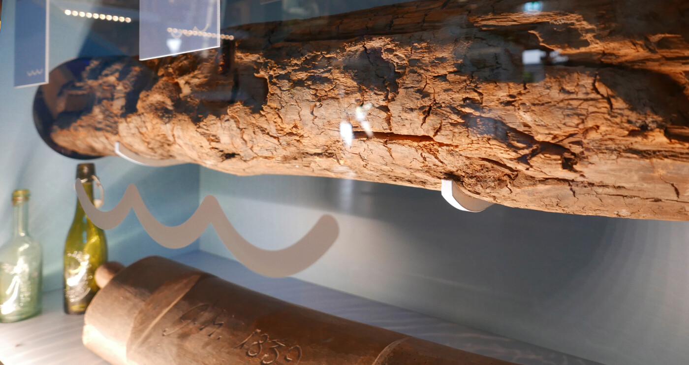 Nymphenvitrine Stadtmuseum Eilenburg