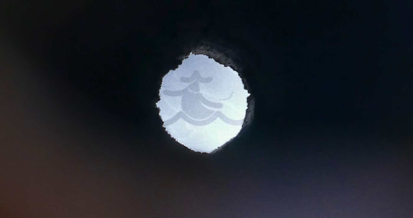 Nymphenvitrine Stadtmuseum Eilenburg