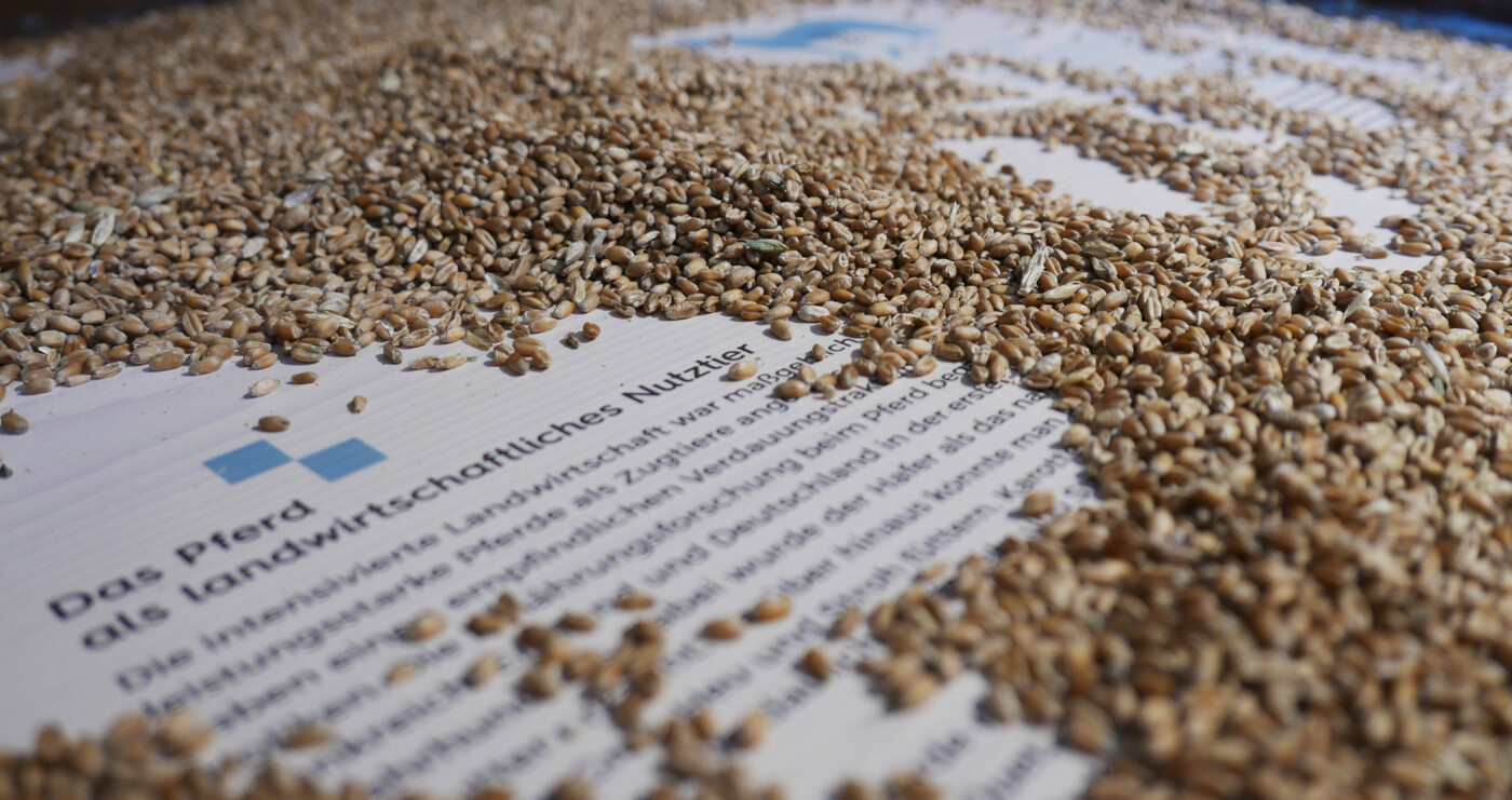 Wyhra Ausstellung Hofgeschichten